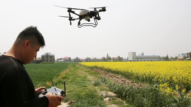 通州五接復成村：無人機“飛防”作業 助力油菜菌核病防治
